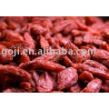 Goji Berries(sweeter and softer)